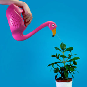 annaffiatoio-fenicottero-rosa-goolp